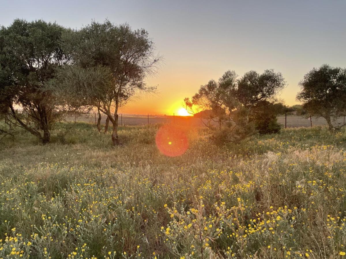 Hotel Tranquilo Glamping Hozanejos Exterior foto