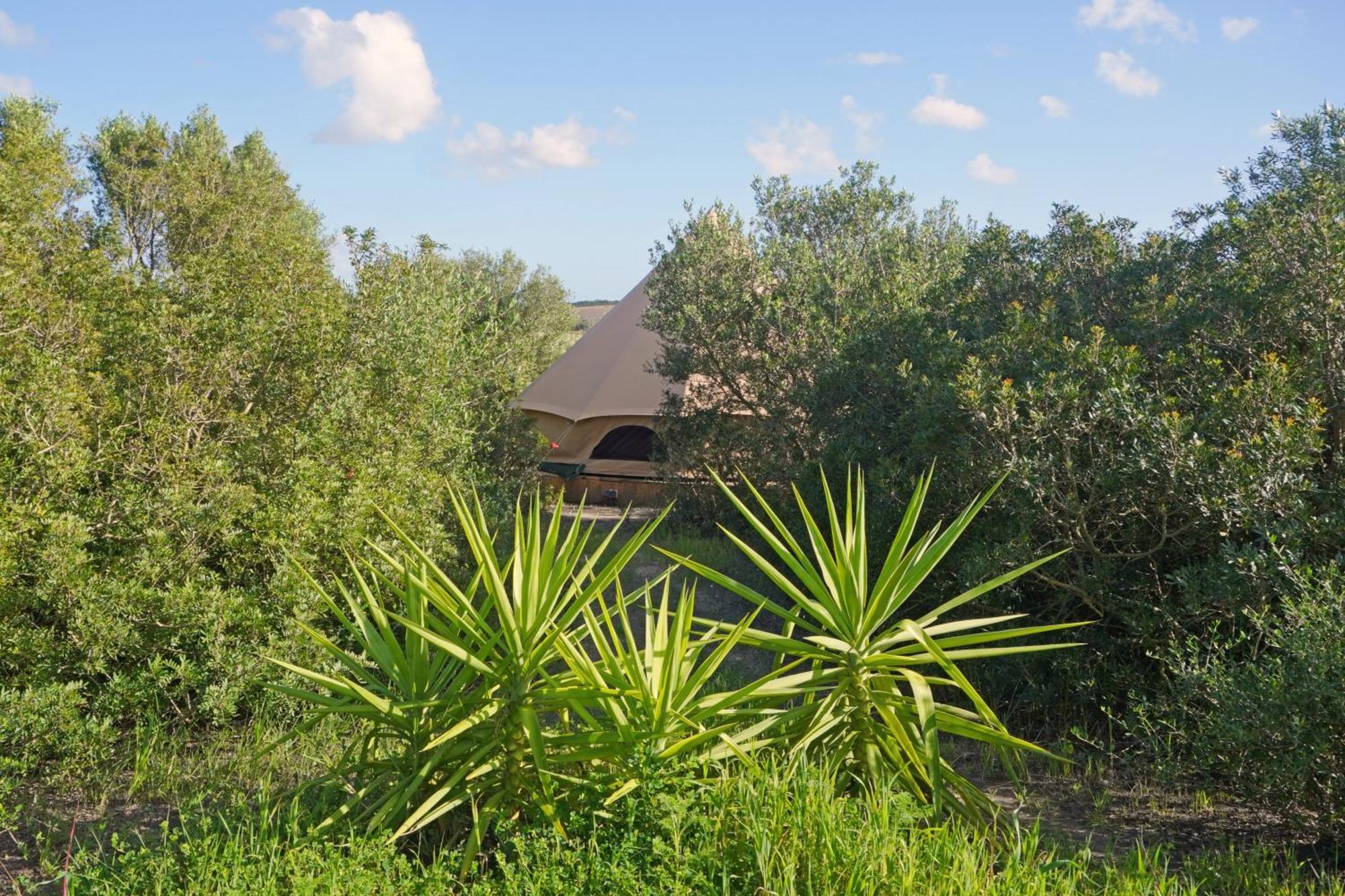 Hotel Tranquilo Glamping Hozanejos Exterior foto